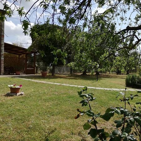 Agriturismo Podere Selvette Campagnatico المظهر الخارجي الصورة