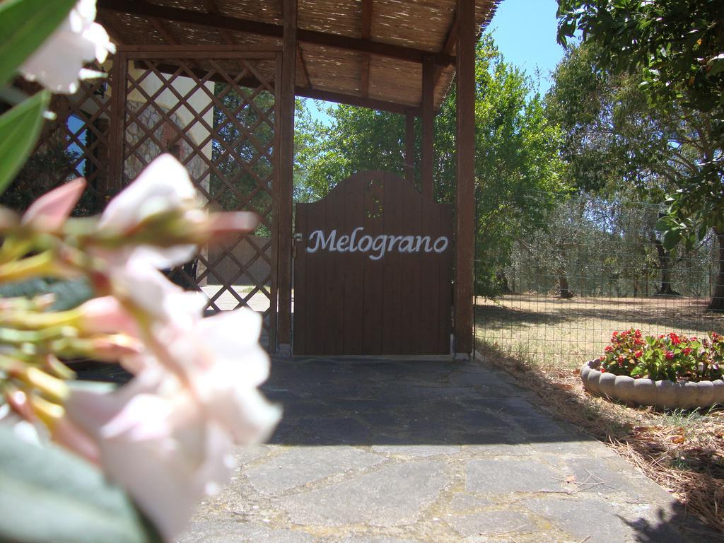 Agriturismo Podere Selvette Campagnatico المظهر الخارجي الصورة