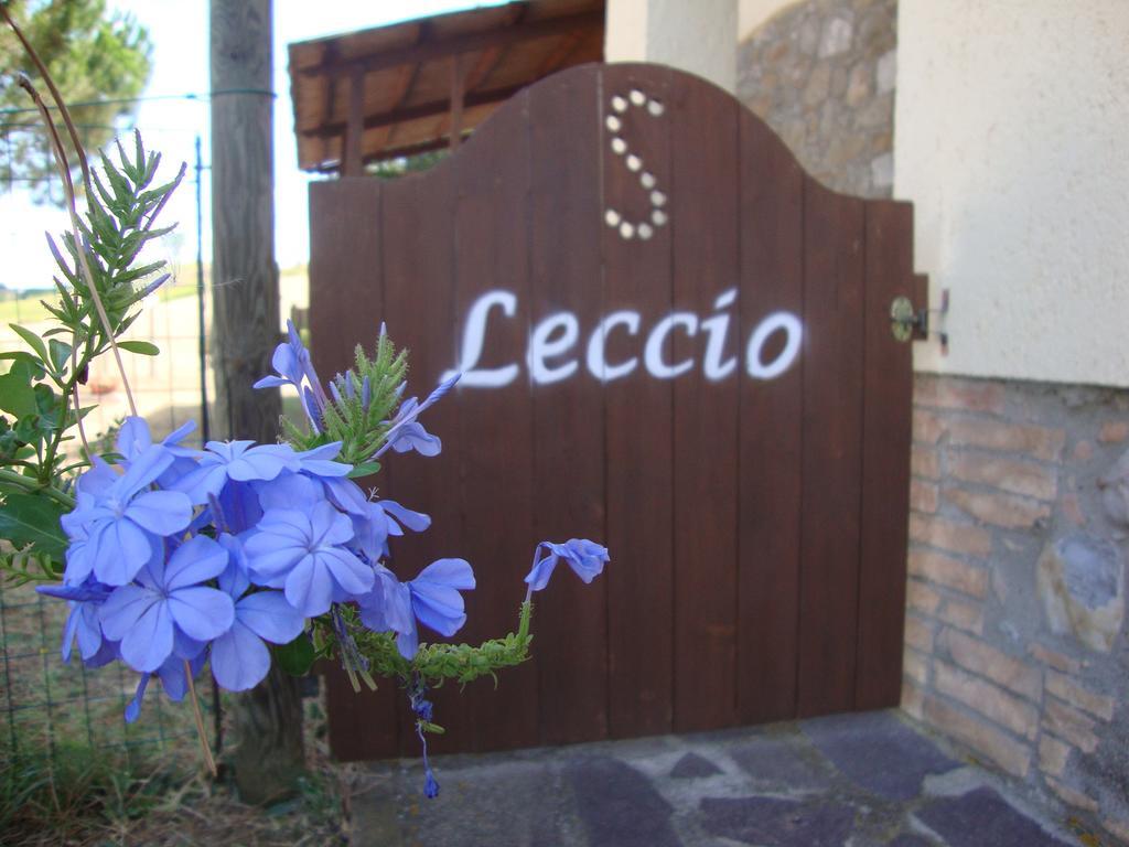 Agriturismo Podere Selvette Campagnatico المظهر الخارجي الصورة
