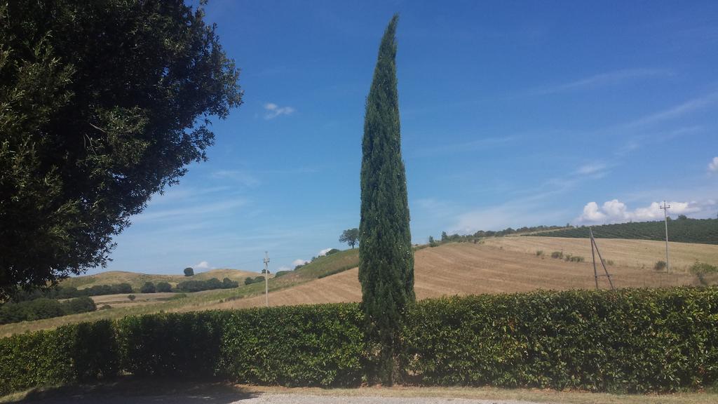 Agriturismo Podere Selvette Campagnatico المظهر الخارجي الصورة