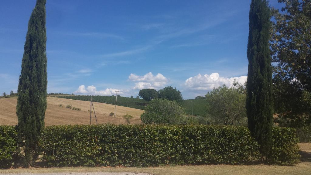 Agriturismo Podere Selvette Campagnatico المظهر الخارجي الصورة