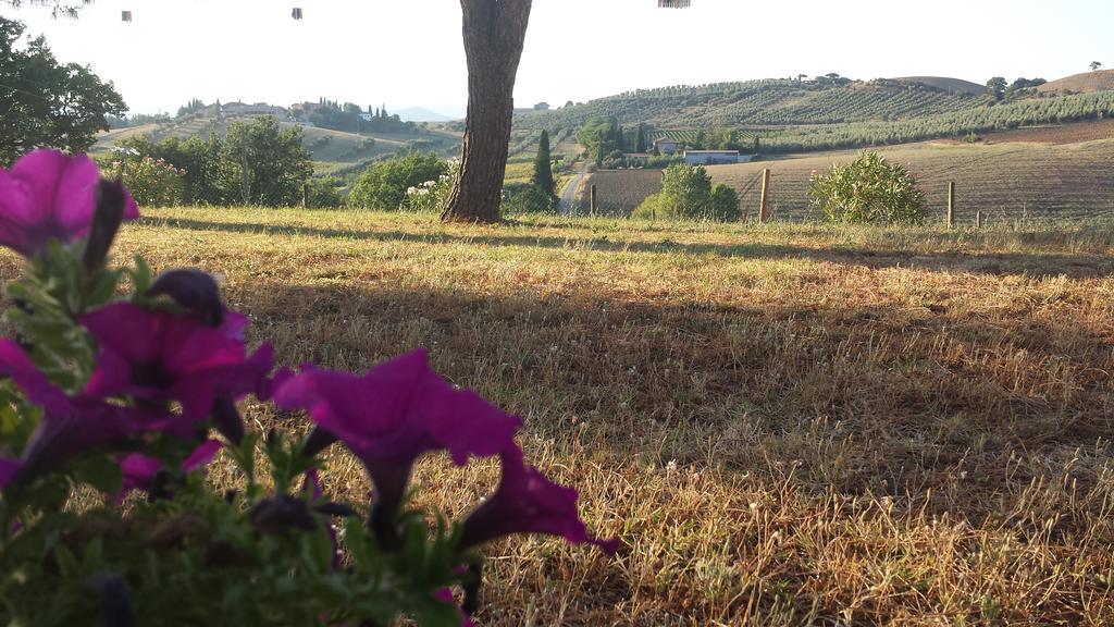 Agriturismo Podere Selvette Campagnatico المظهر الخارجي الصورة