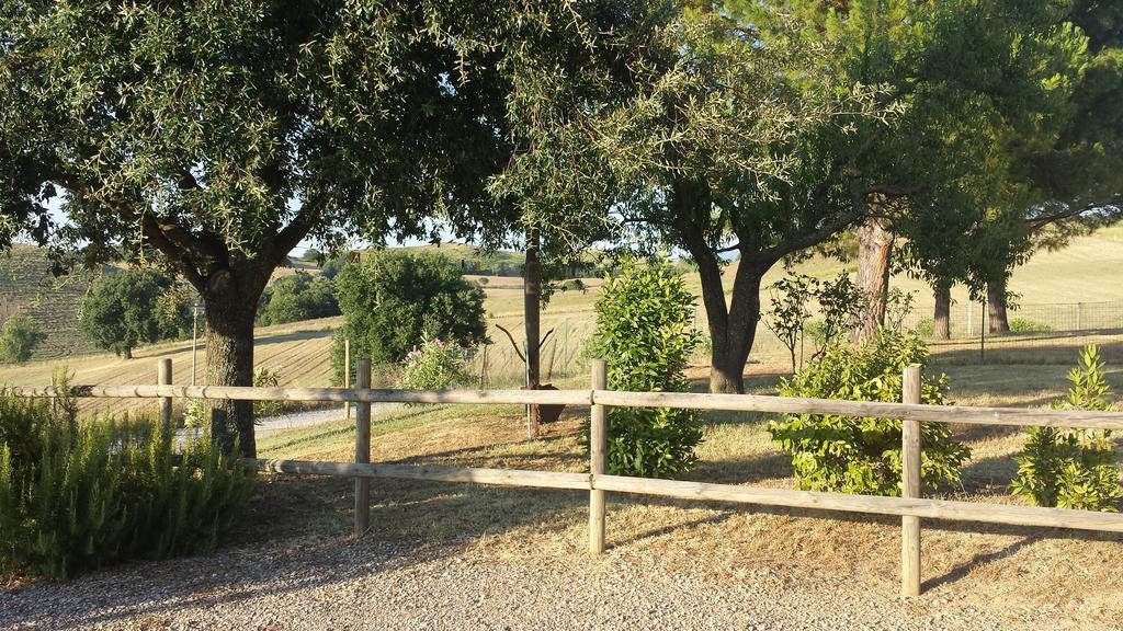Agriturismo Podere Selvette Campagnatico المظهر الخارجي الصورة