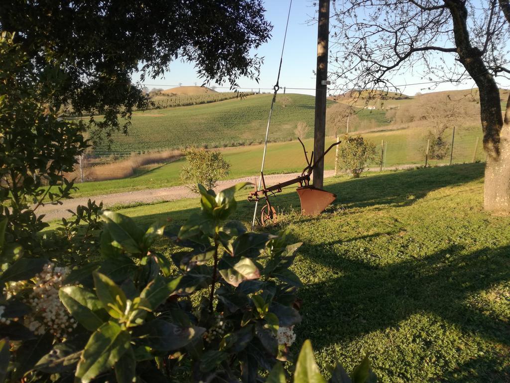 Agriturismo Podere Selvette Campagnatico المظهر الخارجي الصورة