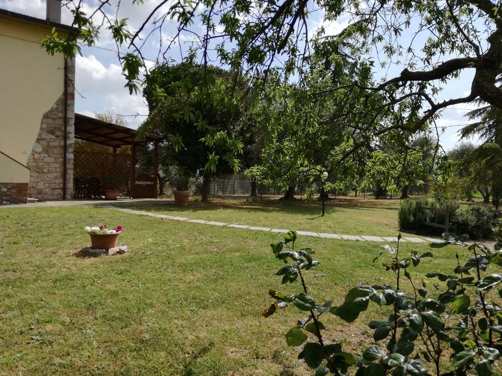 Agriturismo Podere Selvette Campagnatico المظهر الخارجي الصورة