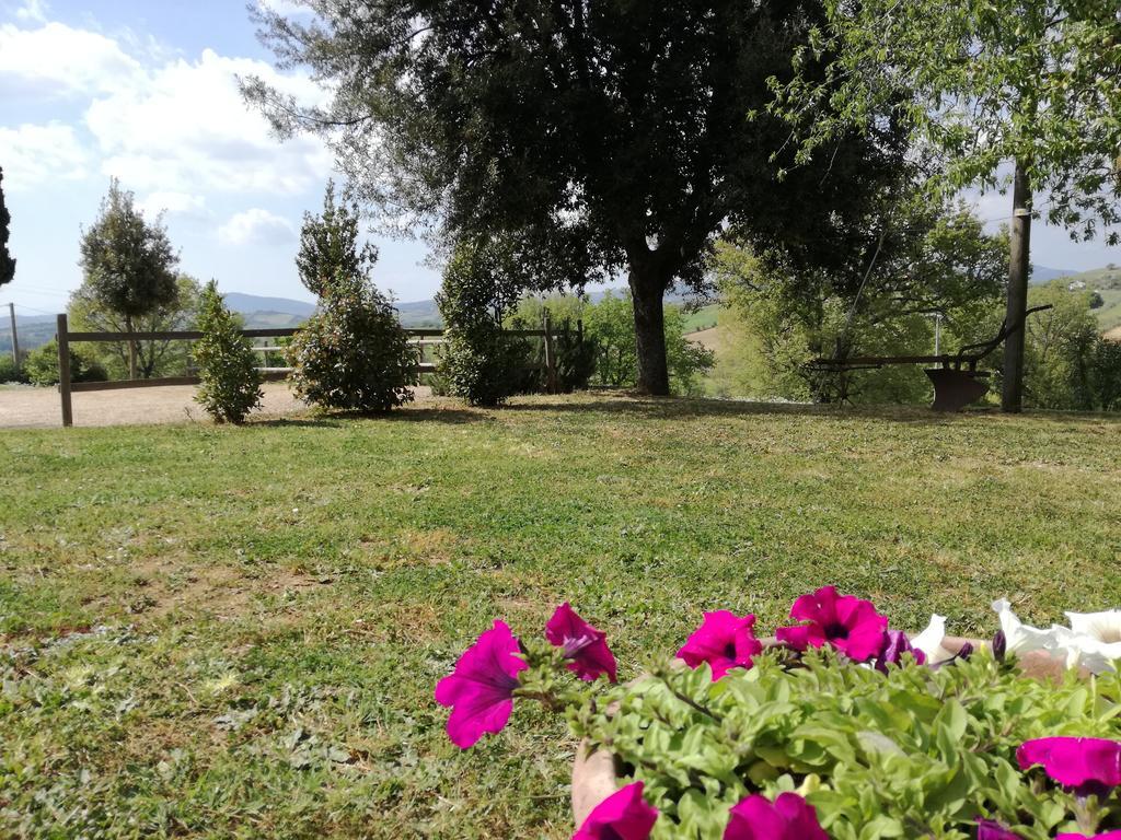 Agriturismo Podere Selvette Campagnatico المظهر الخارجي الصورة